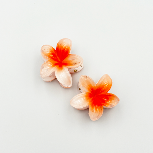 2pcs Fashionable and Cute Hair Claw Set MUVAYA