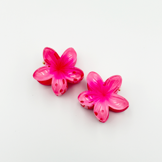 2pcs Fashionable and Cute Hair Claw Set MUVAYA