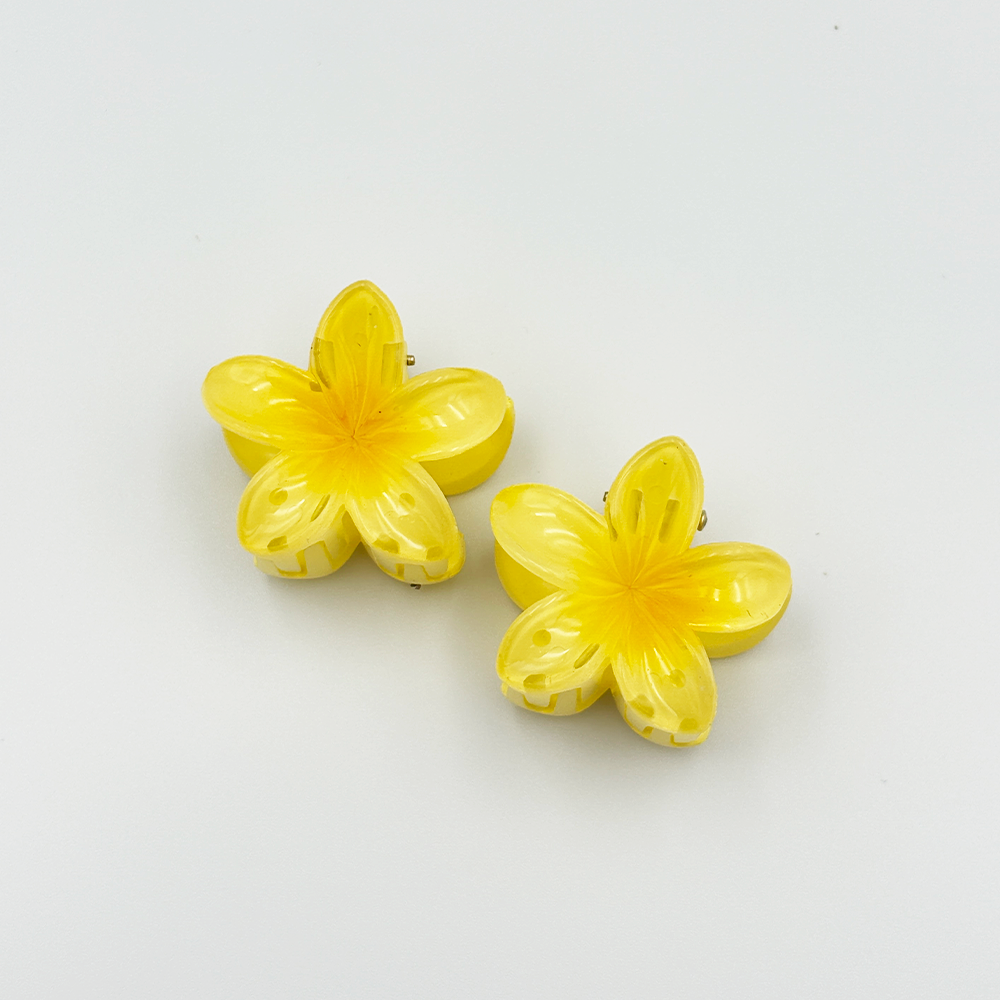 2pcs Fashionable and Cute Hair Claw Set MUVAYA