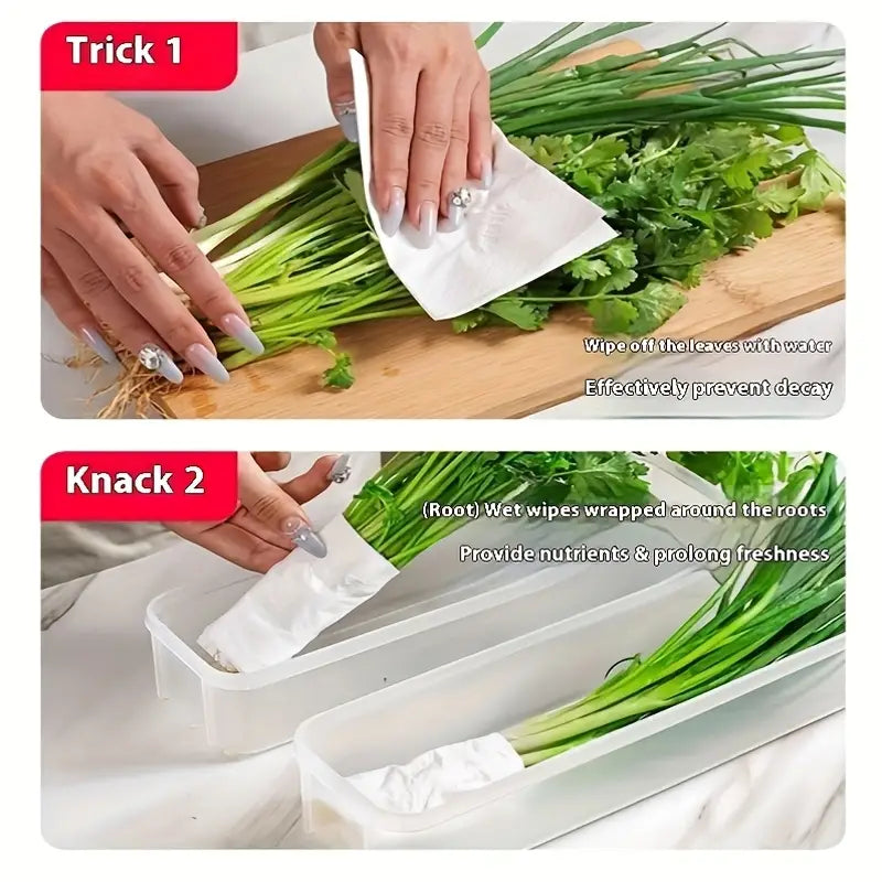6PCS Long Vegetable Storage Containers MUVAYA