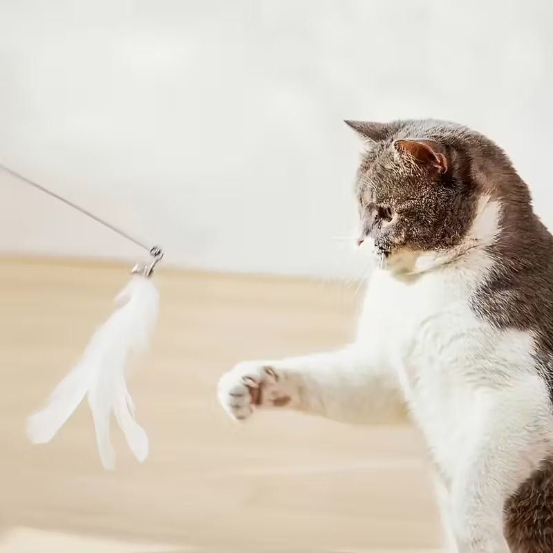 Interactive Cat Teasing Stick with Bells & Feather MUVAYA