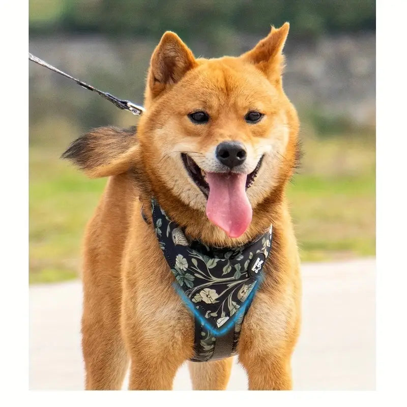 Adjustable Dog Harness Leash Bandana and Pet Collar Set MUVAYA