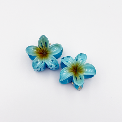 2pcs Fashionable and Cute Hair Claw Set MUVAYA