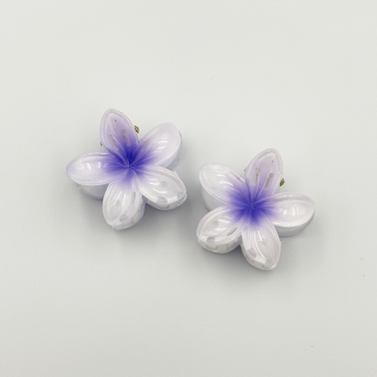 2pcs Fashionable and Cute Hair Claw Set MUVAYA