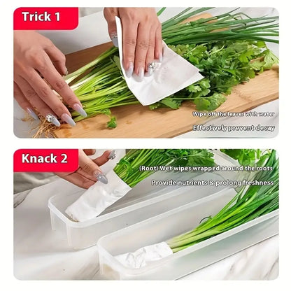 6PCS Long Vegetable Storage Containers MUVAYA