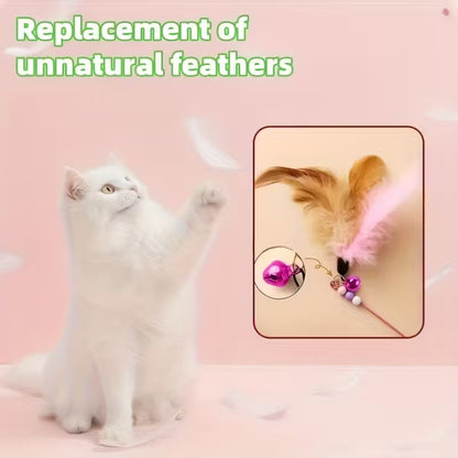 Interactive Cat Teasing Stick with Bells & Feather MUVAYA